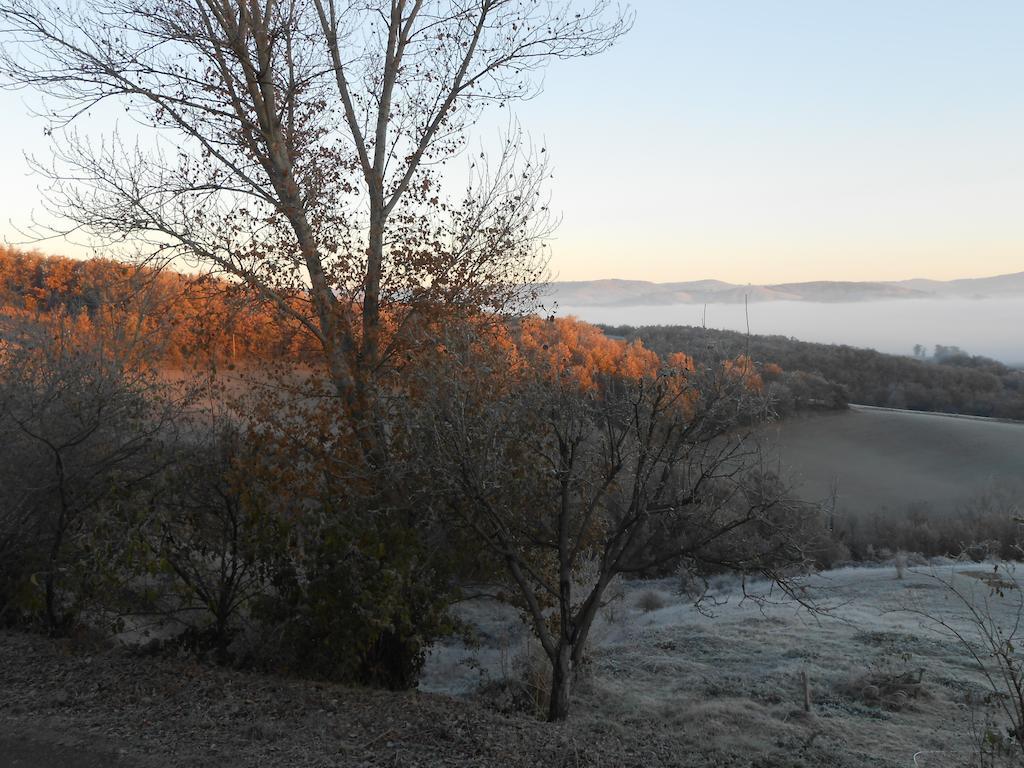 Gite Des Monts Saint-Izaire Dış mekan fotoğraf