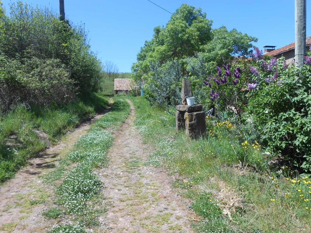 Gite Des Monts Saint-Izaire Dış mekan fotoğraf