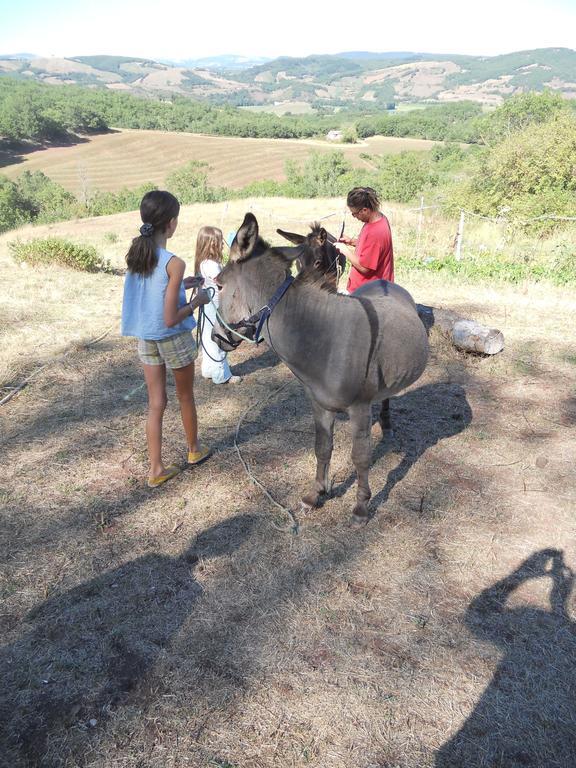 Gite Des Monts Saint-Izaire Dış mekan fotoğraf