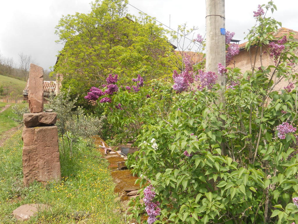 Gite Des Monts Saint-Izaire Dış mekan fotoğraf